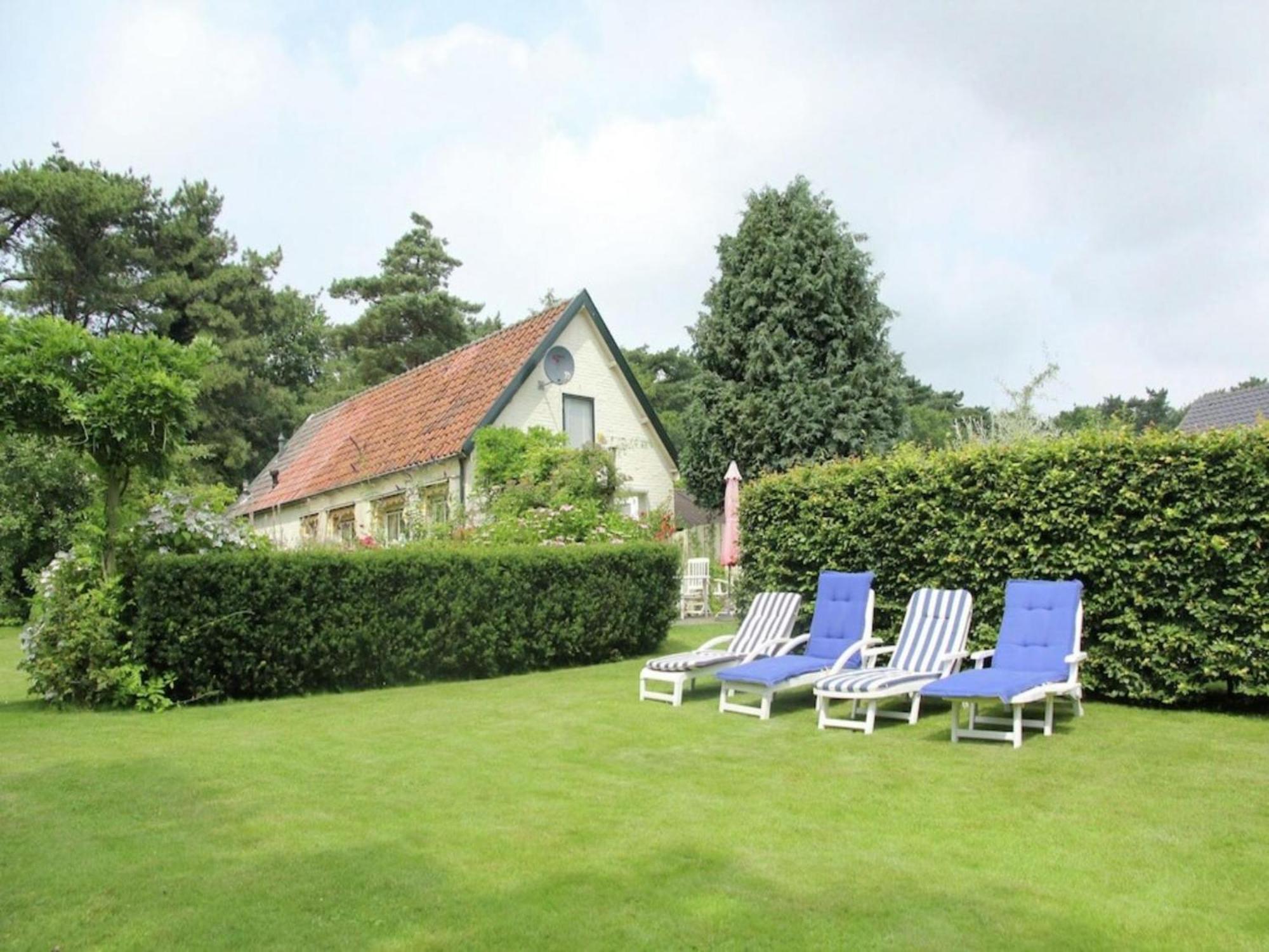 Villa Bonte Specht à Schoorl Extérieur photo